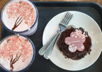 cherry blossoms korea