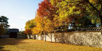 fall in seoul
