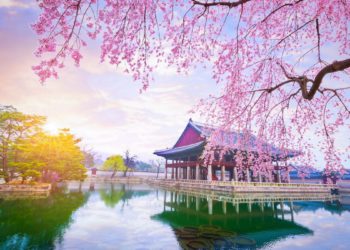 instagram worthy spots seoul