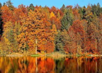 fall foliage south korea