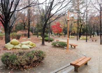dosan park things to do