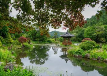 garden of morning calm