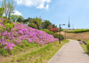 walking in seoul spring