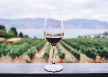 Yeongwol Yemil Wine Village