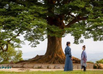 visit love tree alchemy of souls