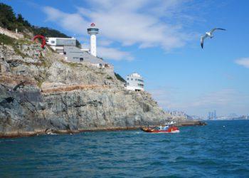 springtime activities busan