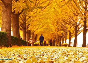 where to go to enjoy south korea fall foliage