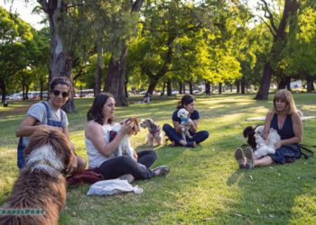 Traveling with Your Pet in Incheon – A Worry-Free Experience with the Smart Pet Waste Management System