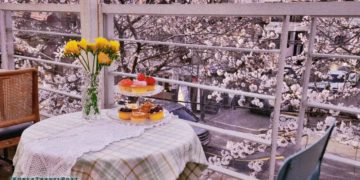 Best Cherry Blossom Cafes in Seoul South Korea