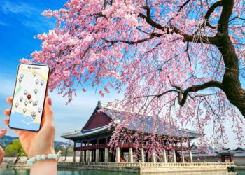 cherry blossom crowd prediction