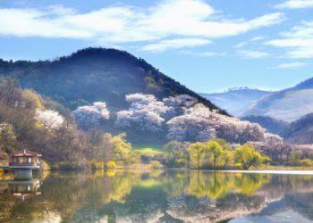 Detox Destinations South Korea