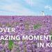 kto photo contest 2024 south korea