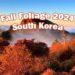 fall foliage forecast south korea 2024