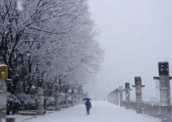 All the Best Tips for Traveling During Heavy Snow in South Korea  