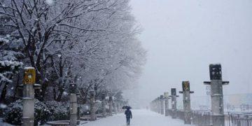 All the Best Tips for Traveling During Heavy Snow in South Korea  