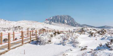 Heartfelt Attractions & Things to Do in Jeju Island During Winter Travel  