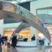 Discover New Must-Visit Spots at Incheon Airport Before Your Next Adventure