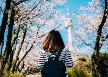best solo travel destination seoul
