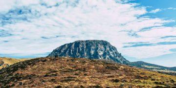 jeju nft tourist cards