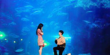 Spend the Most Romantic Valentine Dates in These Kdrama Filming Locations