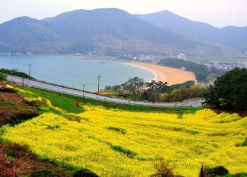 Flowering Namhae Festival