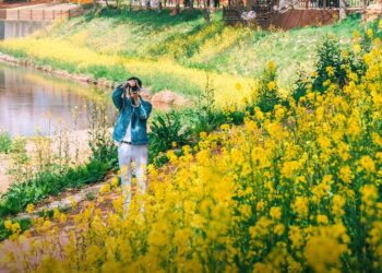 Suncheonman National Garden in Spring: Your Healing Escape in Bloom