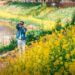Suncheonman National Garden in Spring: Your Healing Escape in Bloom