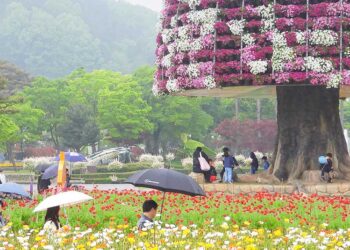 2025 Hampyeong Butterfly Festival: Your Healing Encounter with Spring