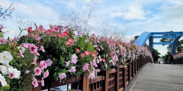 Get Ready to Welcome New Breathtaking Flower Road at Seoul World Cup Forest Park