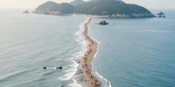 The “Moses Miracle”: Complete Guide to Jindo Sea Parting Road in South Korea