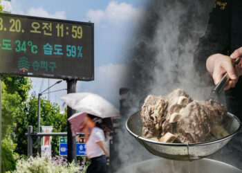 Why Korean Sweats to Stay Cool: The Soul and Science Behind the Steaming Healthy Summer Foods