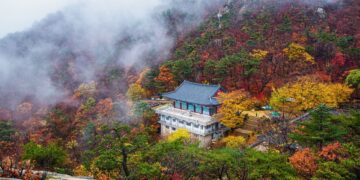 fall foliage korea 2025