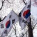 korea tourism policy incentives 2025