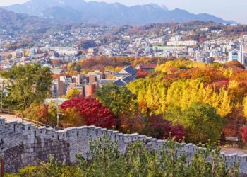 autumn foliage trails Seoul Maple trees and ginkgo leaves along Stone Wall in Seoul during autumn